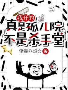 不是杀手堂小说阅读免费完整版