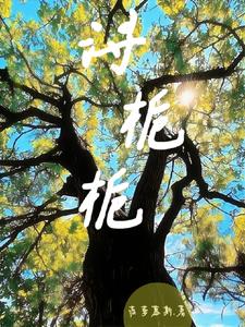 栀九写的小说