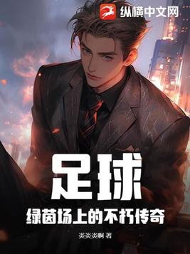 绿茵场上的足球小将