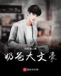 奶爸大文豪小说免费阅读无弹窗