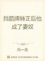 挡箭牌指的是什么