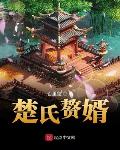 楚氏赘婿免费全文阅读无弹窗