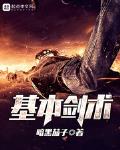 基本剑术小说txt免费阅读