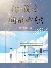 你我之间的必然小说阅读免费下载