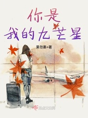 你是我的九芒星小说