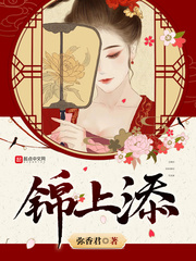 锦上添花苏锦小说