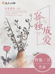 孤独城小说免费阅读目录