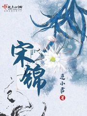 宋锦小说全集免费阅读