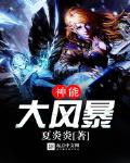 神能大风暴txt小说免费阅读百度云
